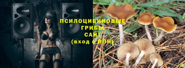 МДПВ Белокуриха